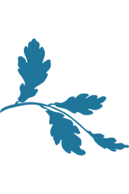 Blue oak leaf illustration